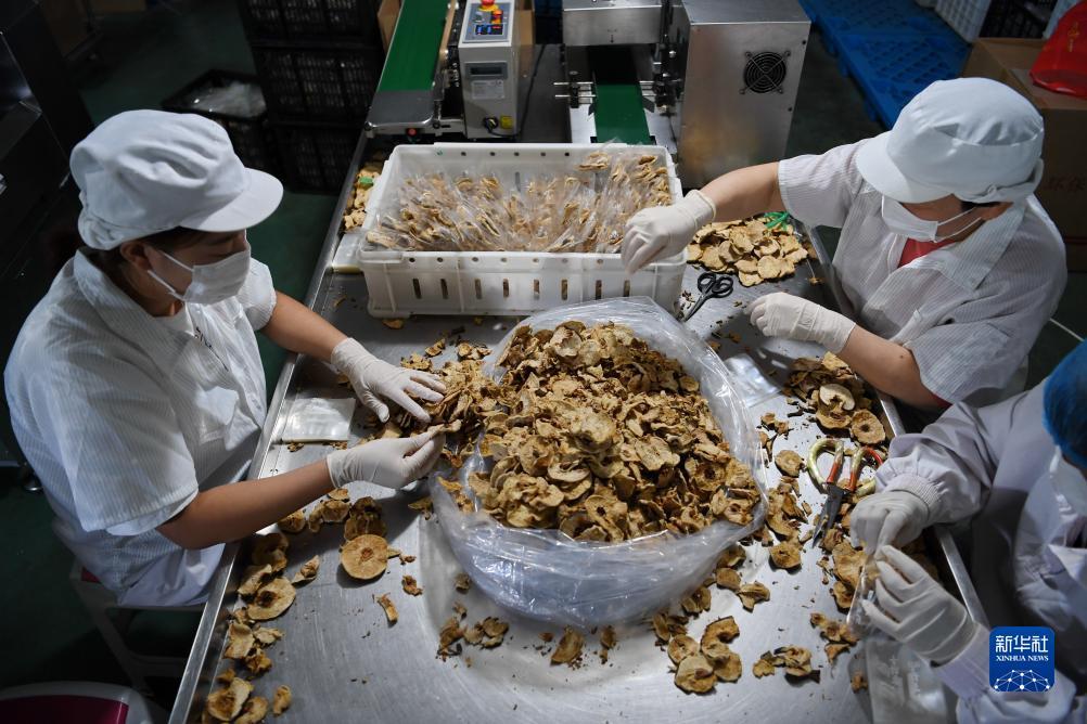 开户送体验金不用申请